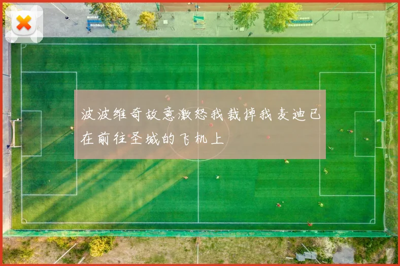 波波维奇故意激怒我裁掉我麦迪已在前往圣城的飞机上
